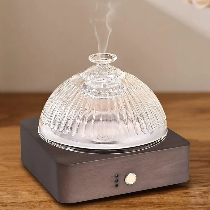Elite Lecdura Glass Essential Oil Diffuser Unique