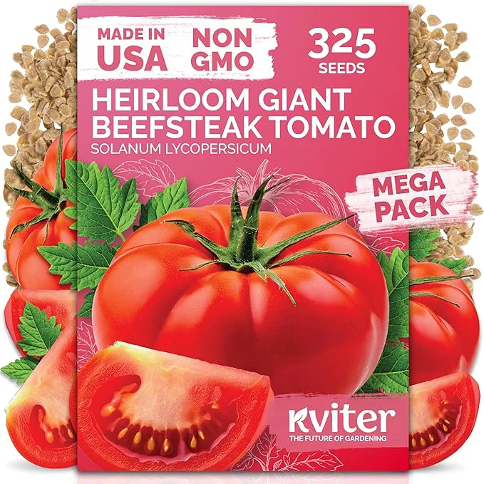 Innovative KVITER 325 Giant Beefsteak Tomatoes Seeds – Beef Steak Tomato Seed Packets Green