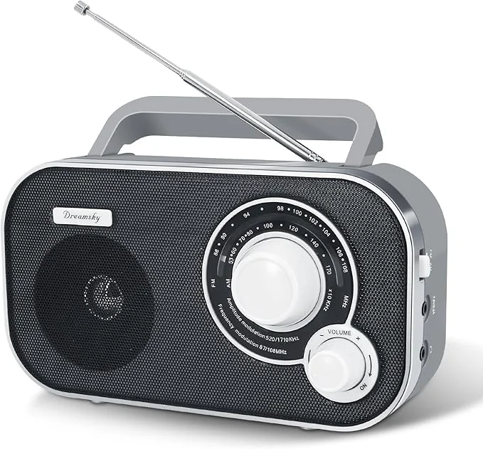Minimalist DreamSky AM FM Portable Radio Plug In Wall or Battery Operated Exclusive