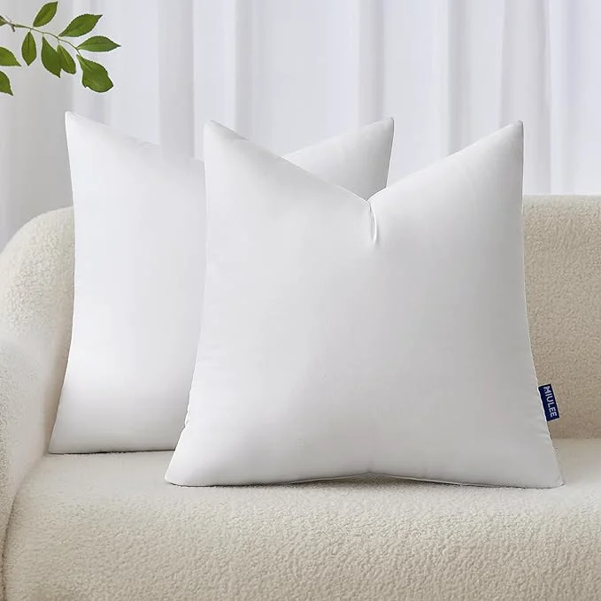 Fashionable MIULEE 20x20 Inches Pillow Inserts Pack of 2 Decorative Throw Pillow Inserts Convenient