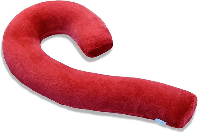 Reusable SCHNAUZER HOME Body Pillow for Adults Comfortable