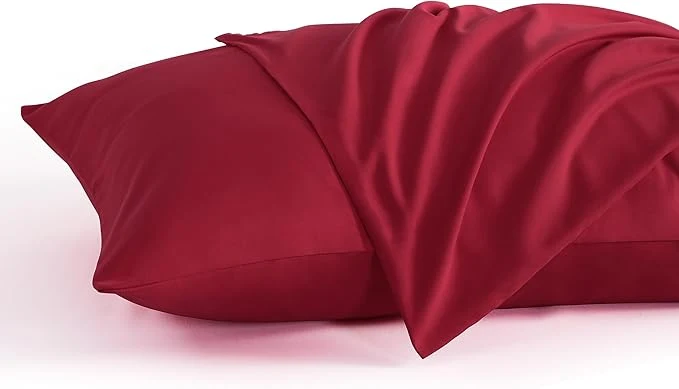High-Grade NTBAY Queen Pillow Cases Set of 2 2 Pack Brushed Microfiber 20x30 Pillow Cases Sophisticated