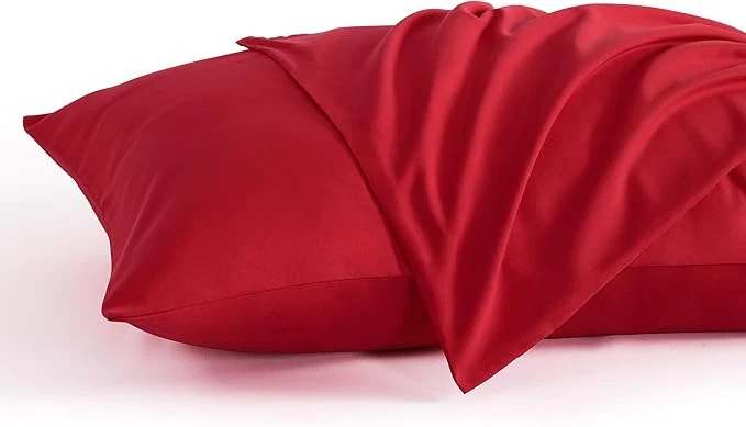 Innovative NTBAY Queen Pillow Cases Set of 2 2 Pack Brushed Microfiber 20x30 Pillow Cases Fine