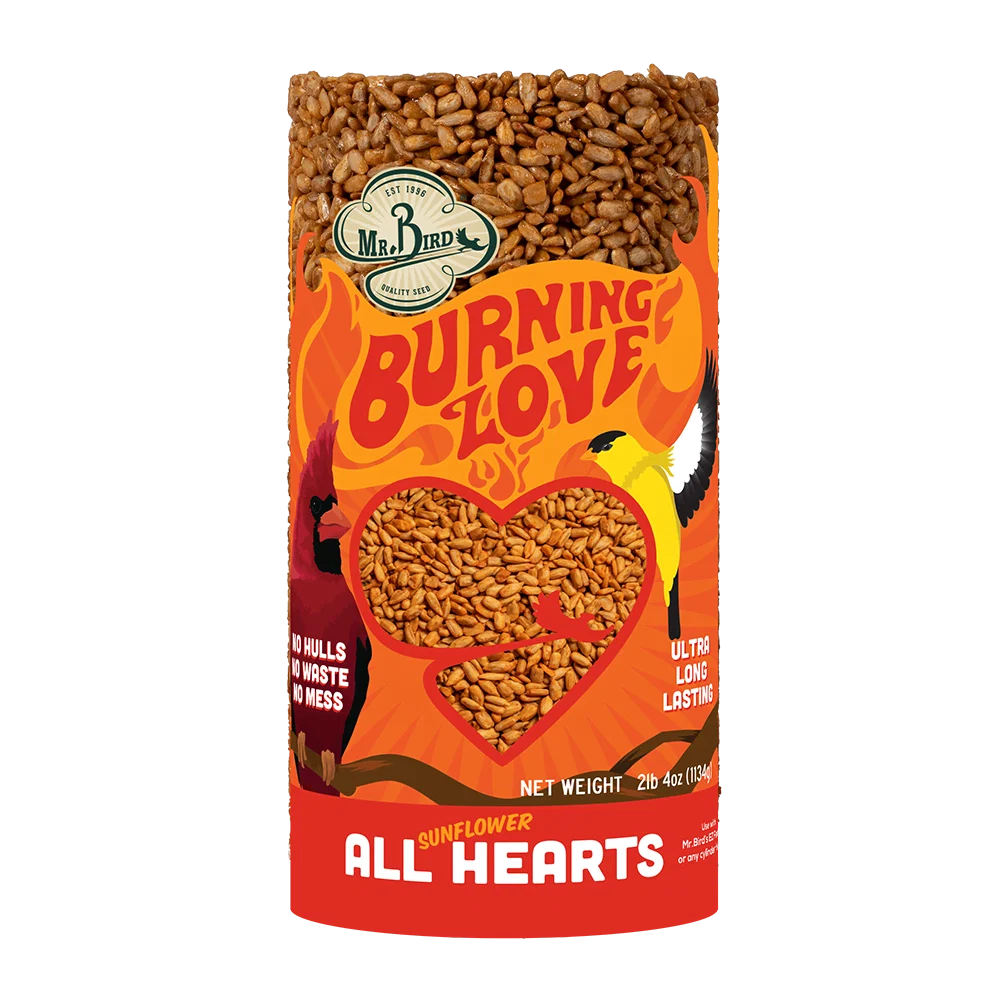 Pure Mr. Bird Burning Love Small Seed Cylinder Sunflower Sustainable