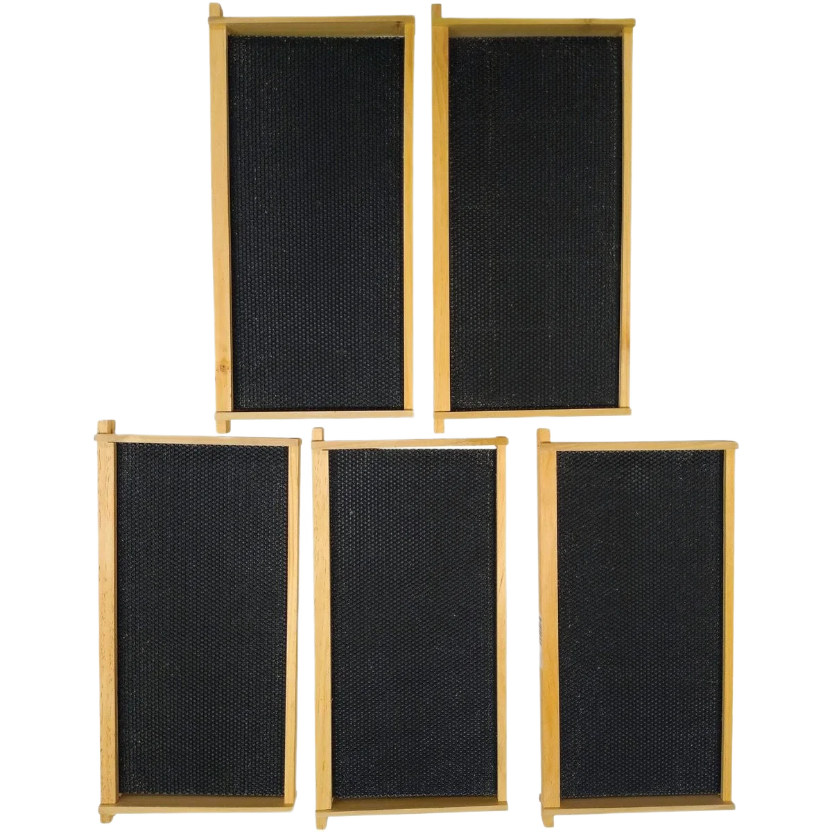 Prestigious Harvest Lane Honey Deep Beehive 5 Frames High-Grade