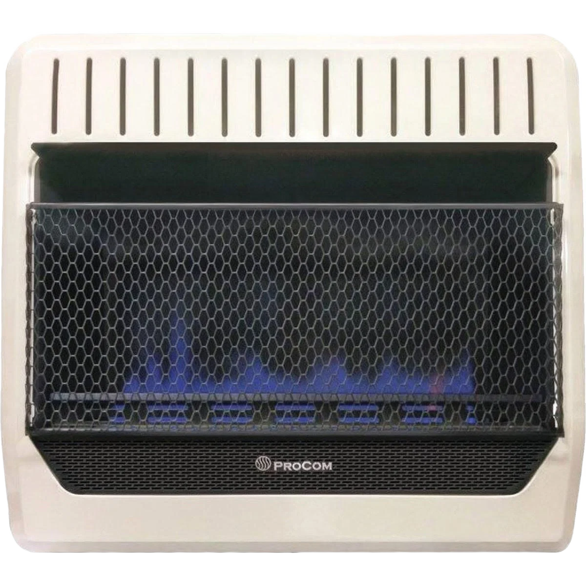 Quality Mr. Heater 30 000 BTU Blue Flame Dual Fuel Vent Wall Heater Expertly Made