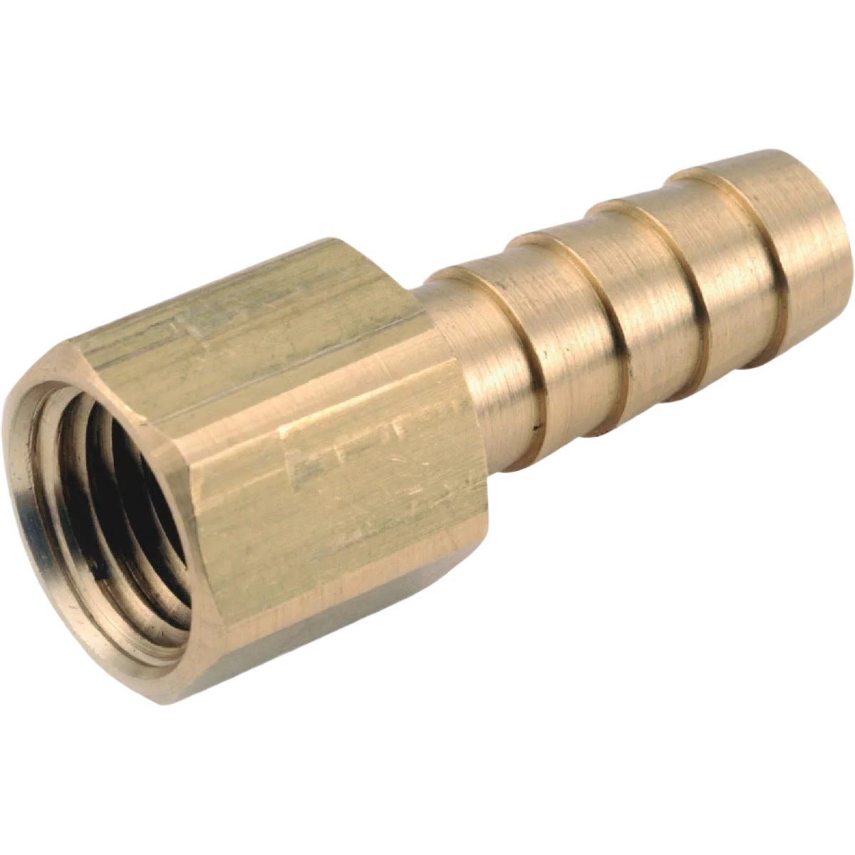 High-Quality Anderson Metals Brass Hose Barb 1 4 In. ID x 1 4 In. FPT Premium