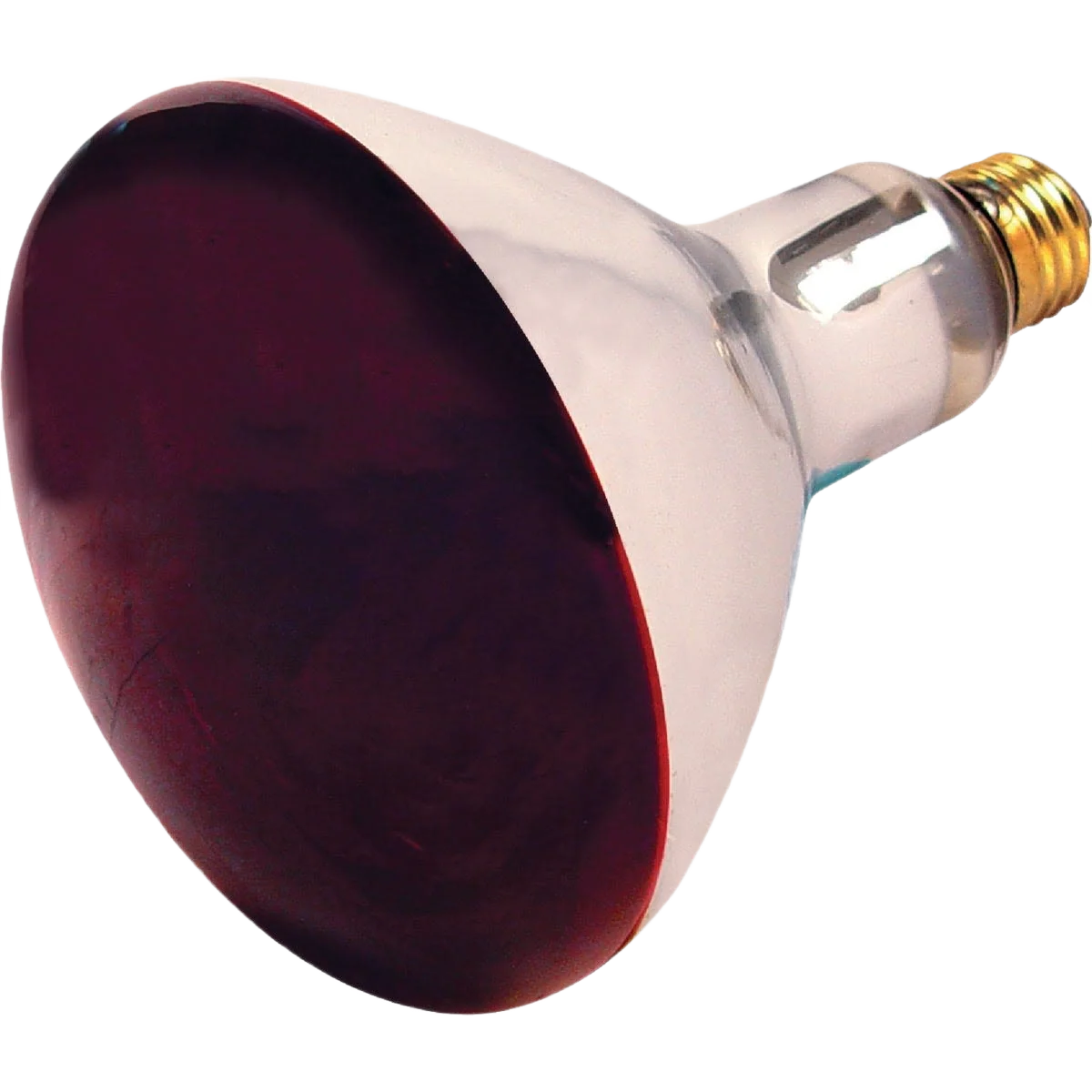 Modern Satco 250 Watt R40 Red Incandescent Heat Light Bulb Innovative