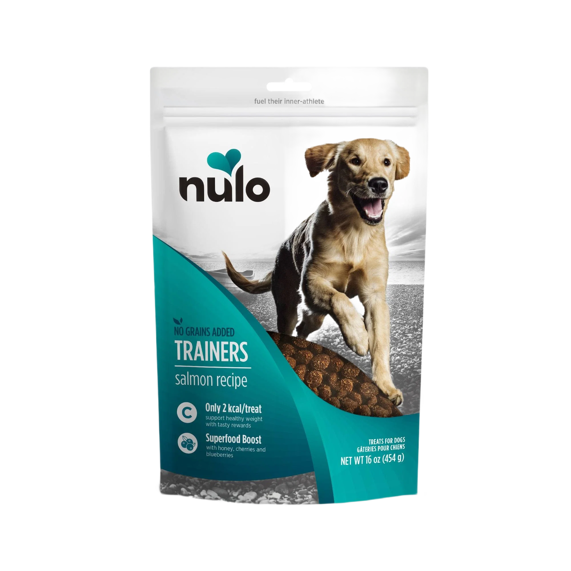 Stylish Nulo style Salmon Training Treats 4 oz. Healthy