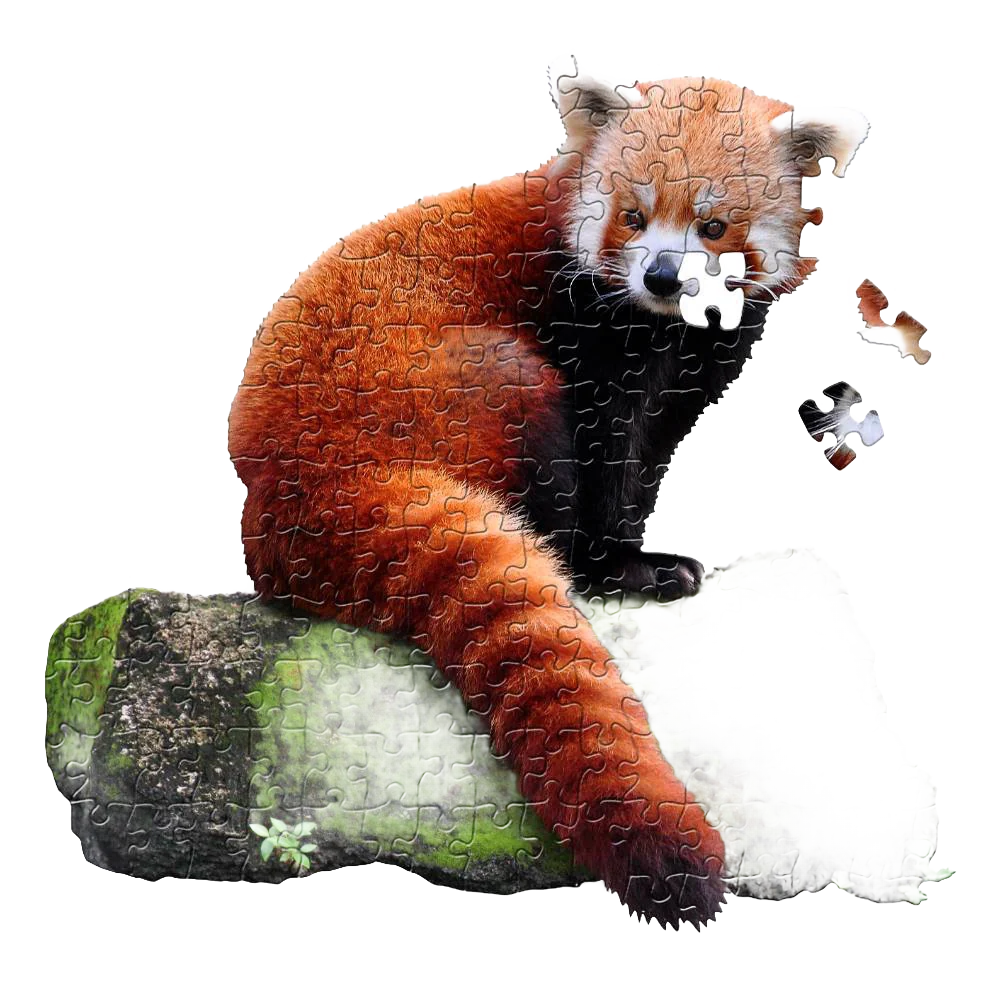 Elegant Shaped Jigsaw Puzzle - Red Panda - 100pcs Certified