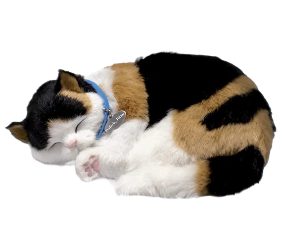 Professional Petzzz Calico Kitten Pet World-Class