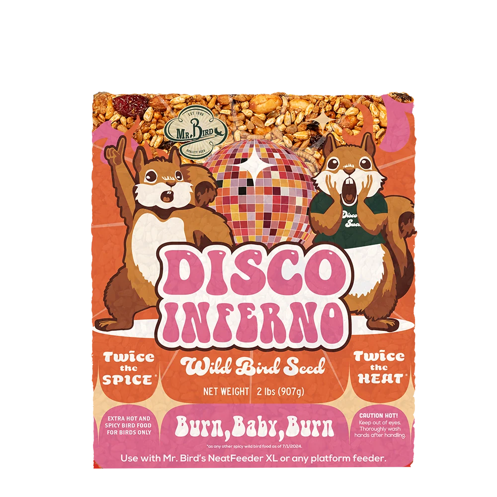 First-Class Mr. Bird Disco Inferno Large Seed Cake Lightweight