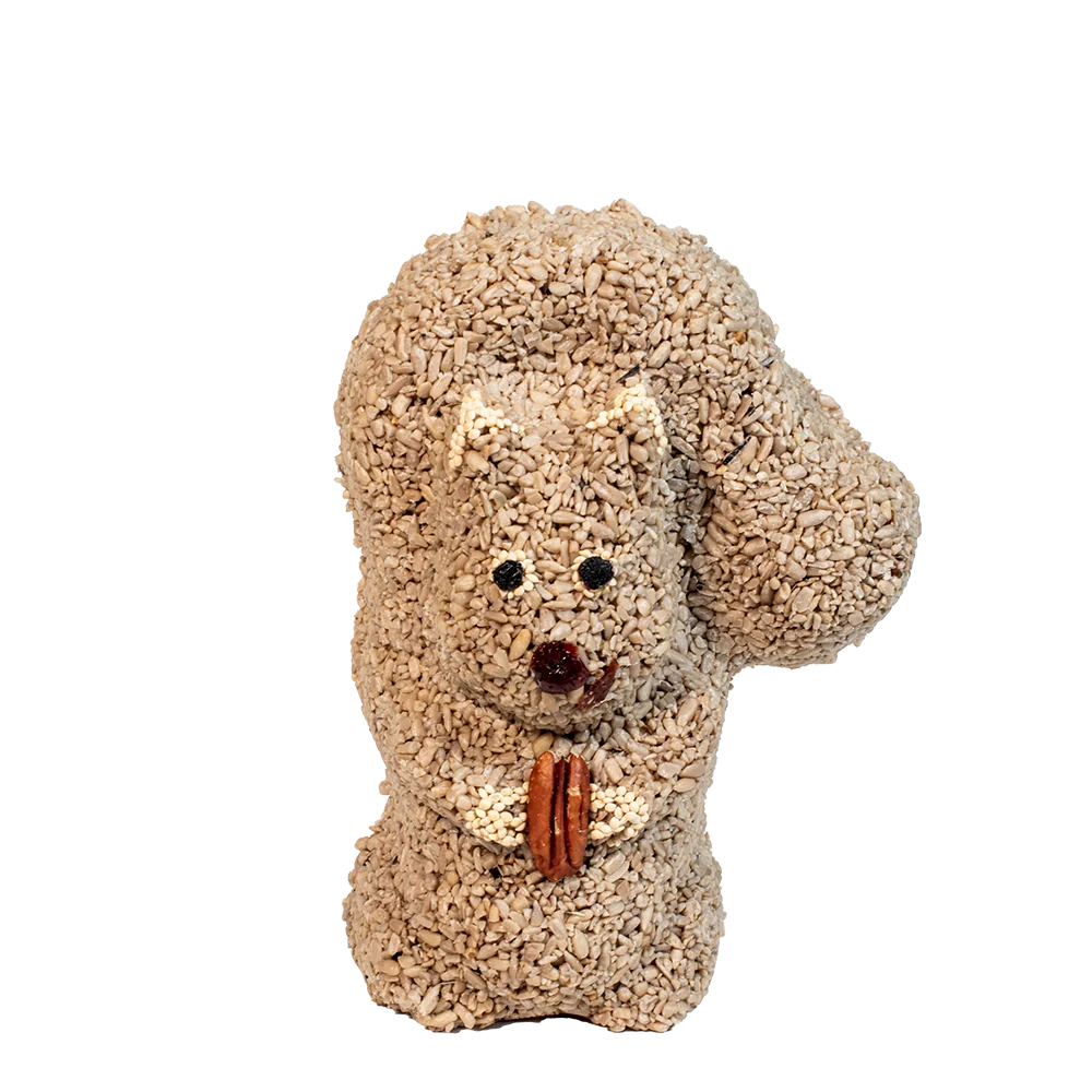 Modern Mr. Bird Nutzo Squirrel Comfortable