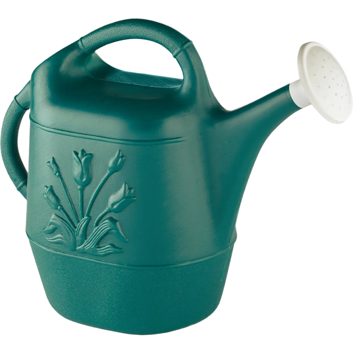 Durable United Solutions Hunter Green 2 Gallon Poly Watering Can Practical