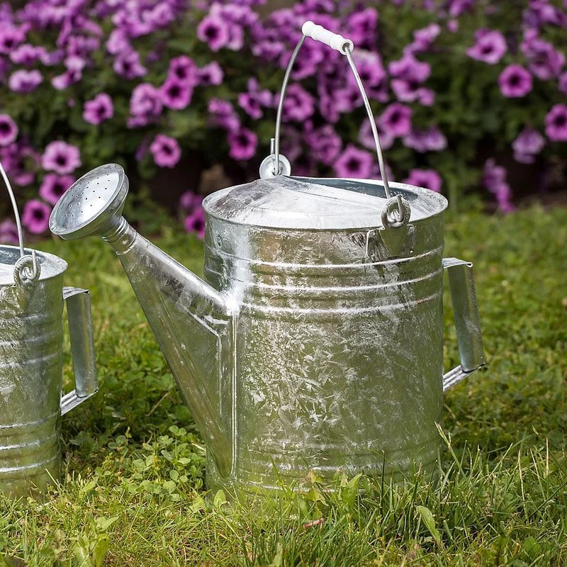 Trendy Behren's Large Galvanized Watering Can Green