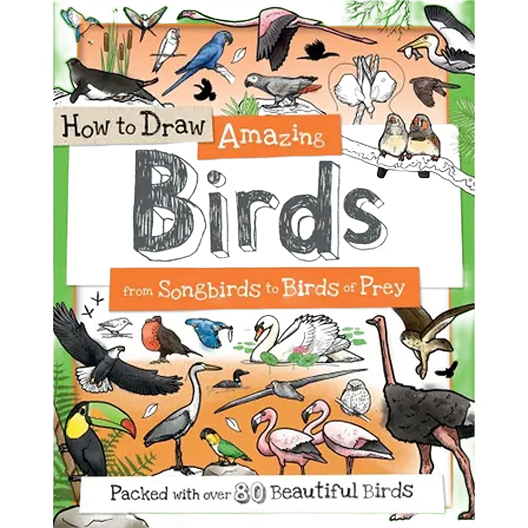 Long-Lasting Sourcebooks How to Draw Birds Practical