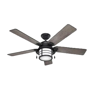 Secure Hunter Biscayne Onyx Bengal Ceiling Fan with Light 54 in. Fine
