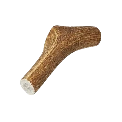 Verified Elk Antler Dog Treats Medium Natural Elk Antler Reliable