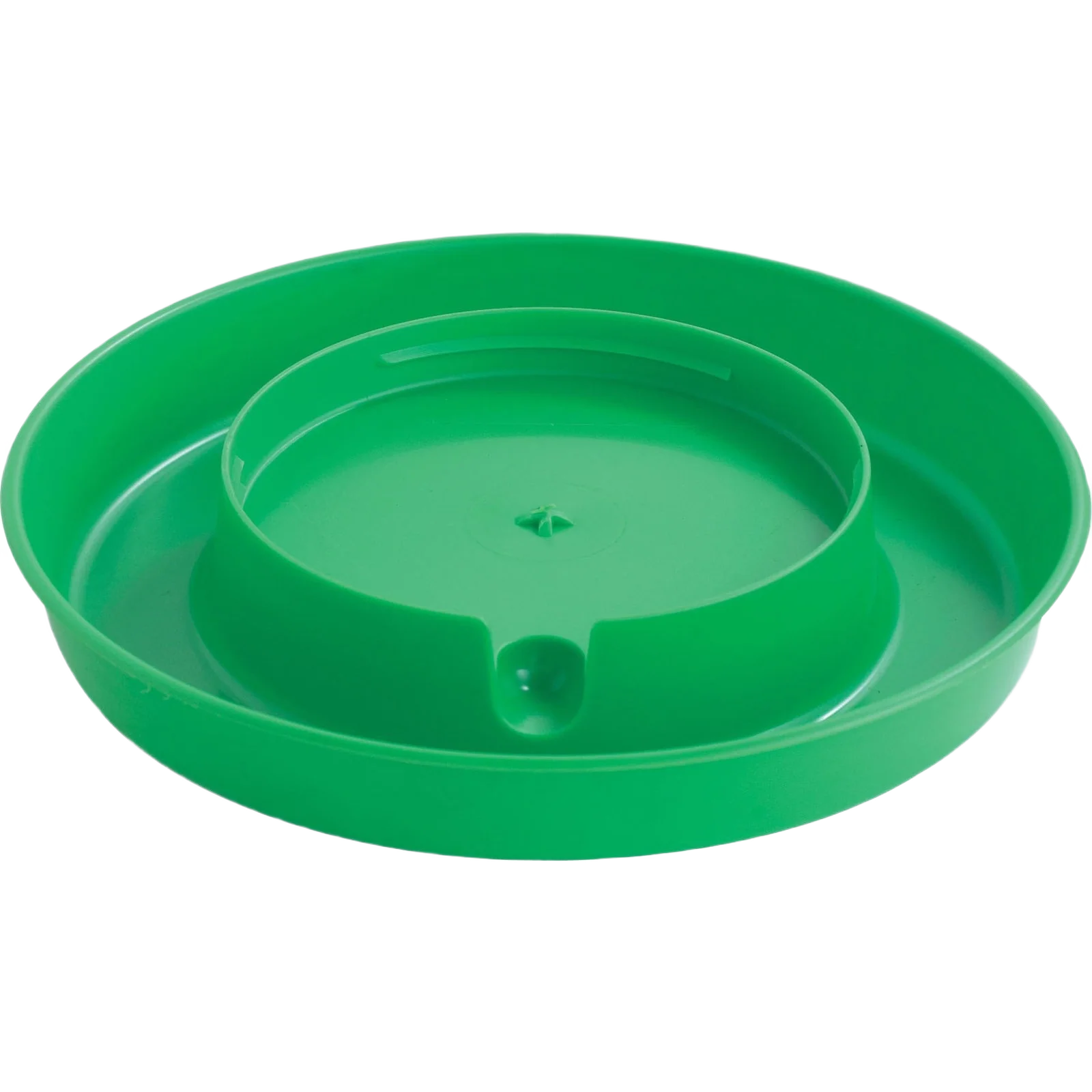 Quality Little Giant 1-gal Green Screw-On Poultry Waterer Base Detailed