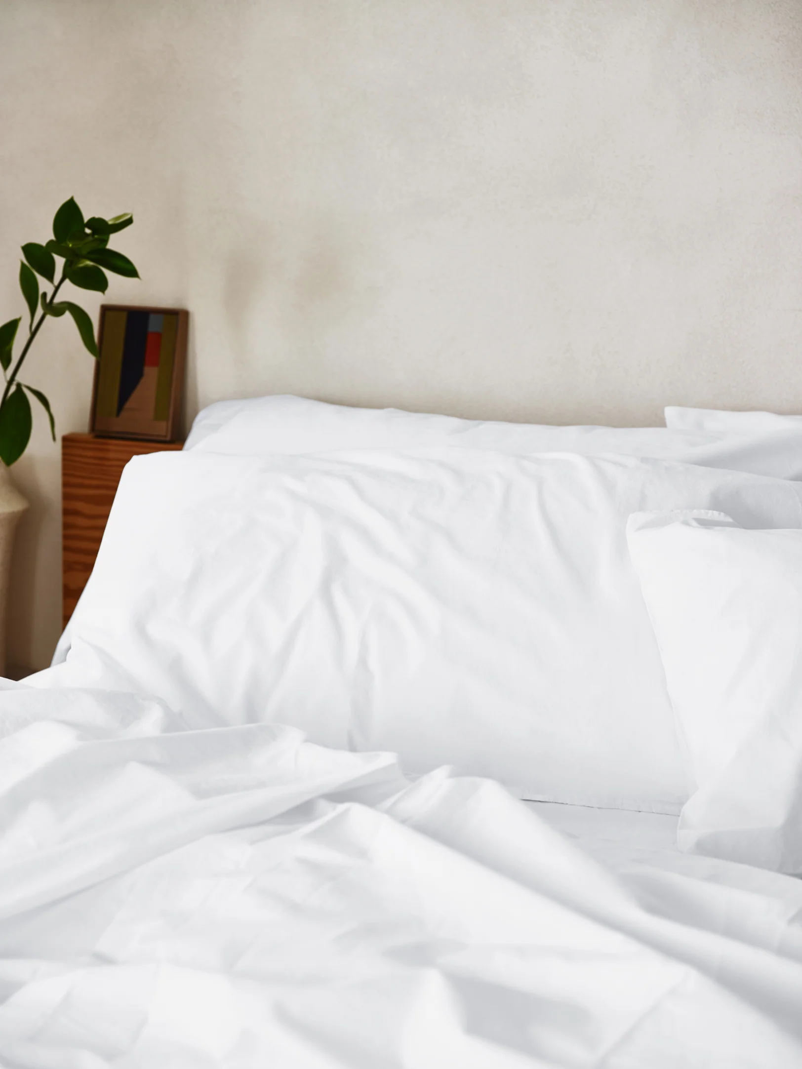 Superior White Washed Cotton Percale Square Pillowcases Pair Next-Generation