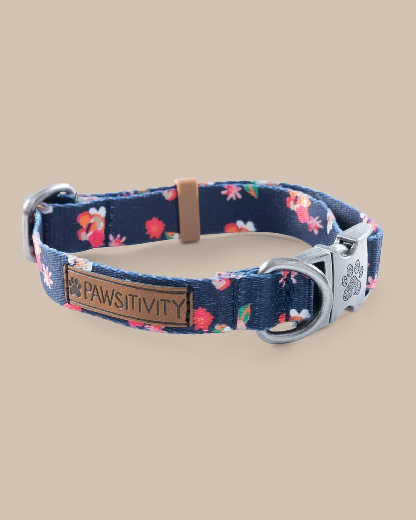 Fine Crafted ST x Pawsitivity Garden Splendor Dog Collar Efficient