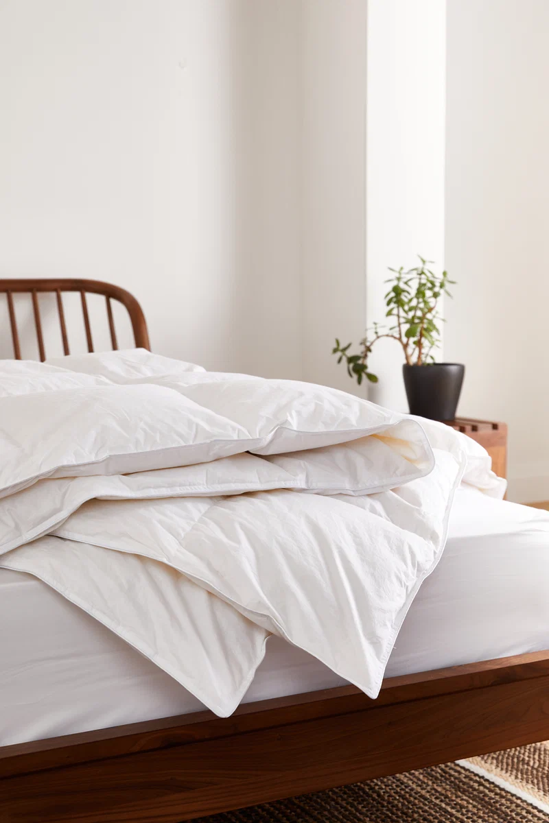 Specialty Foxford Cotton Microfibre Duvet – Single 13.5 Tog Minimalist