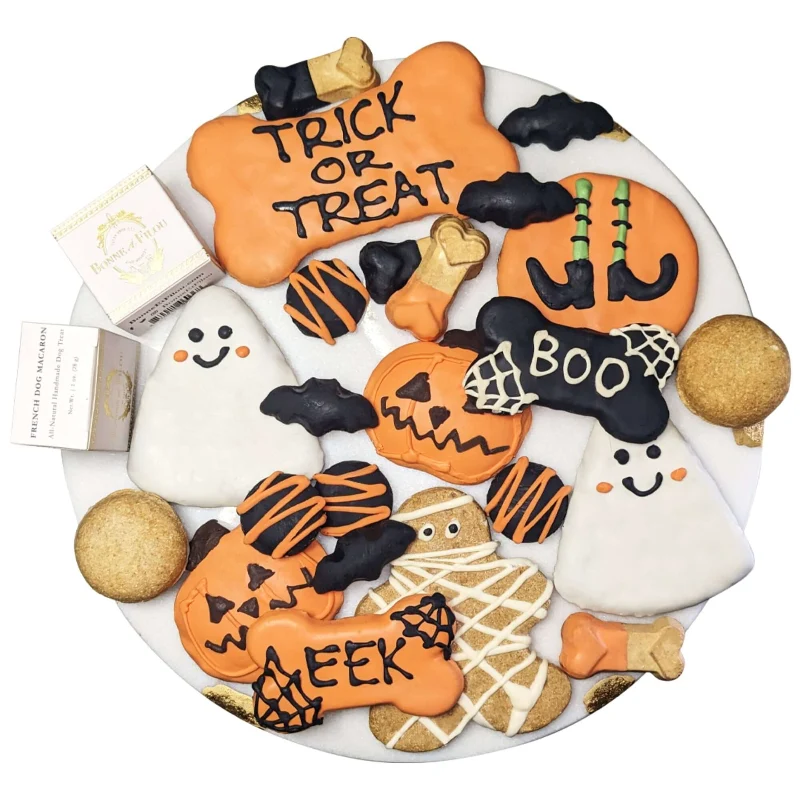 Authentic Dog Treats Gift Box Responsible