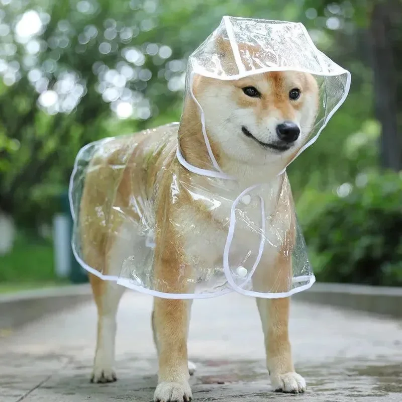 Minimalist Pet Dog Transparent Raincoat - Waterproof Hooded Jacket for Small Dogs Dependable