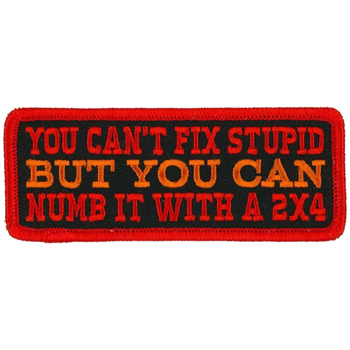 Minimalist Hot Leathers You Can't Fix Stupid 4 X 2 Patch PPL9996 Artisan