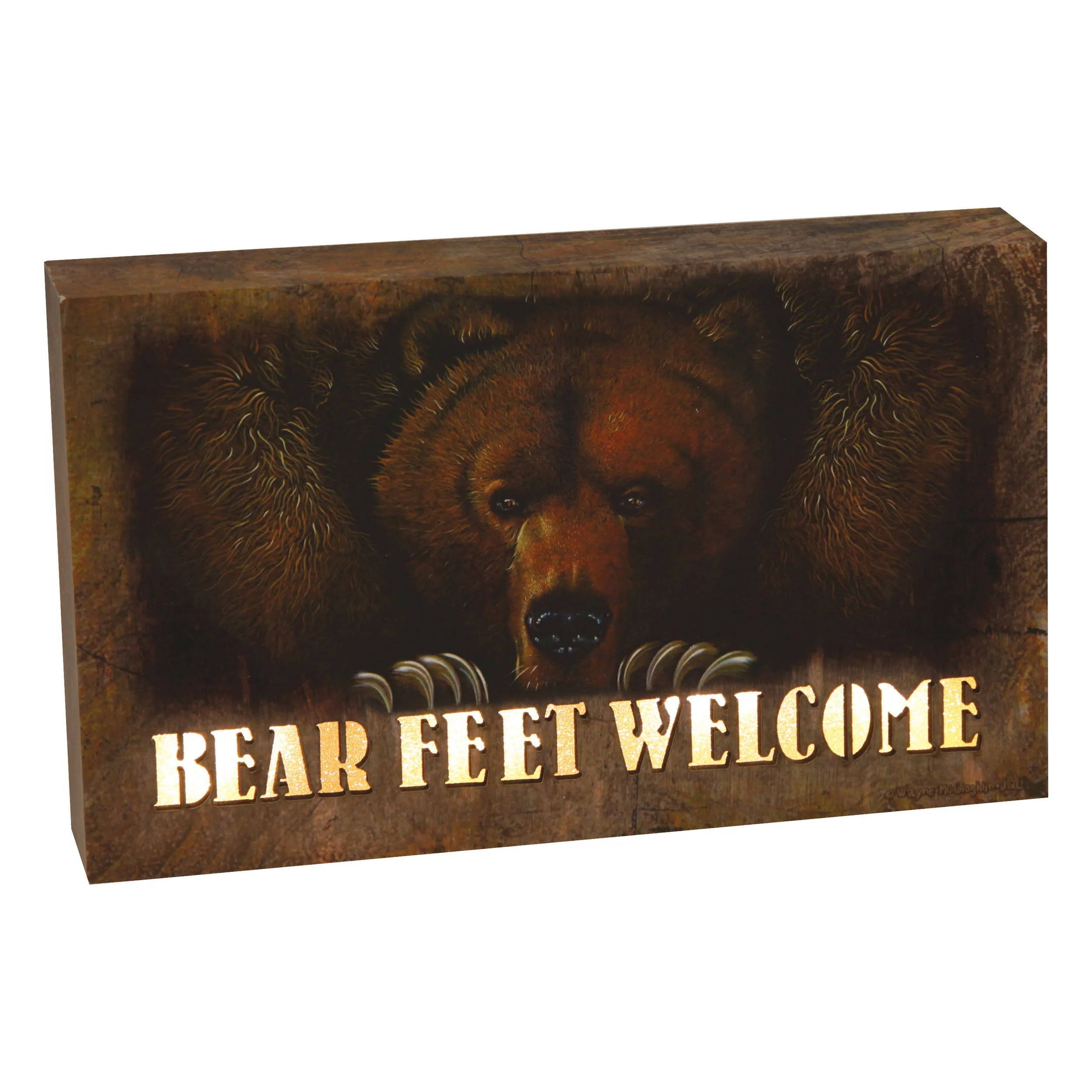 Convenient LED Box 8in x 5in-Bear Feet Practical