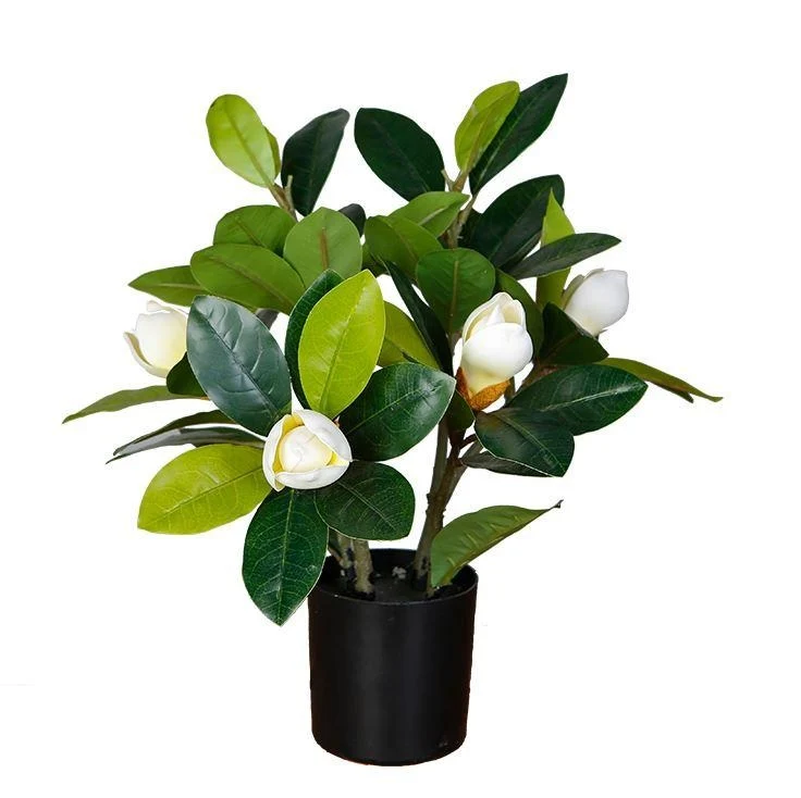 Effective Magnolia Tree Faux Plant 40cm 15.7 Traditional
