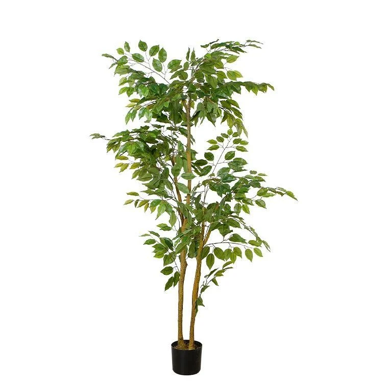 Exceptional Ficus Tree Faux Plant 170cm 67 Artisan