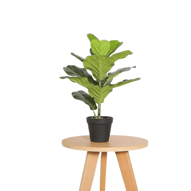 Authentic Fiddle Leaf Fig Faux Plant 50cm 19.7 Innovative
