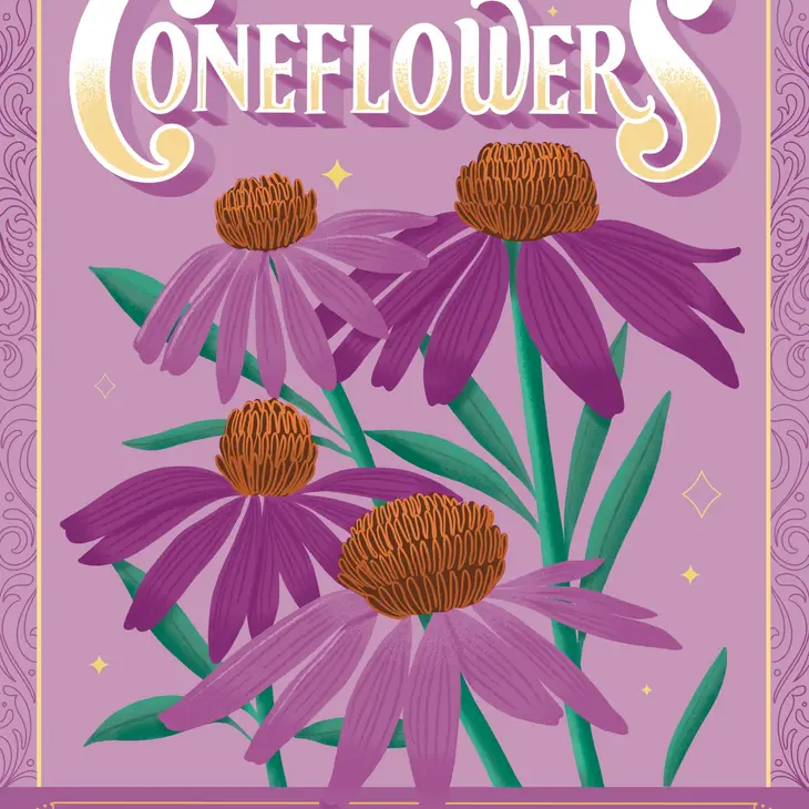 Reusable Coneflower Seeds - Healing Excellent