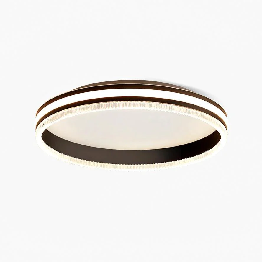 Flexible Simple Acrylic Ring Ceiling Light High-End