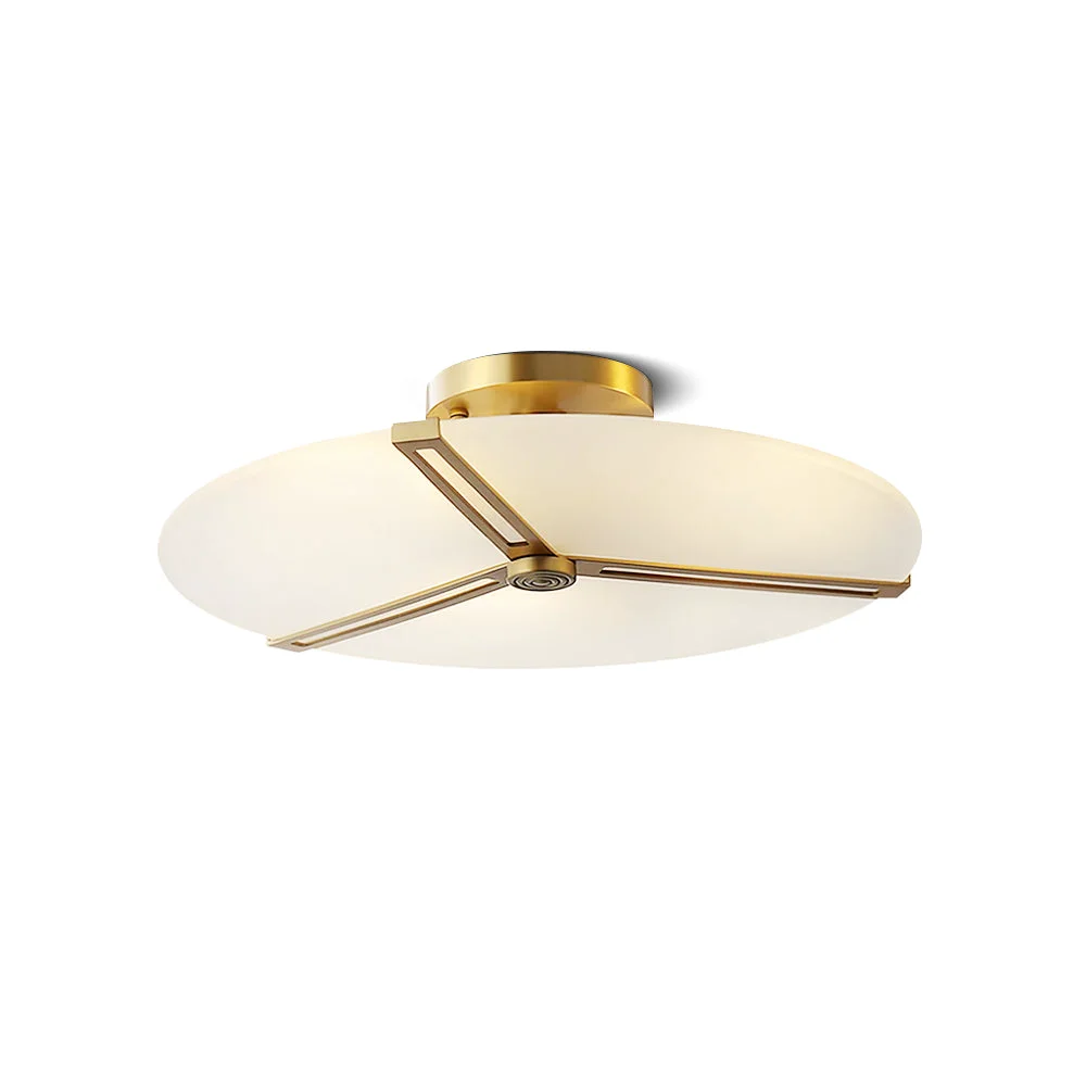 Fashionable ASO Ceiling Lamp Powerful