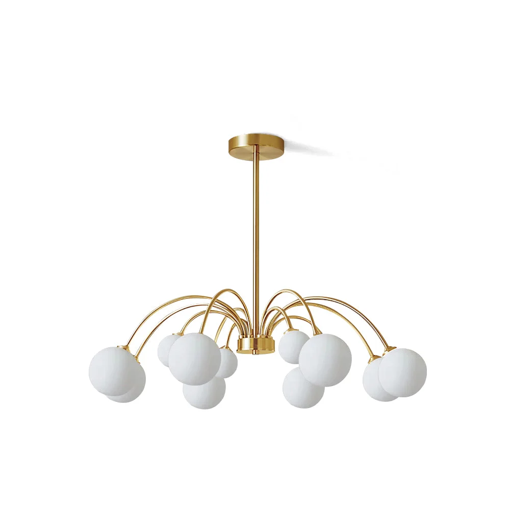 Prestigious Apiales Chandelier Healthy