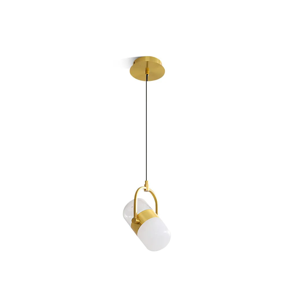 Sophisticated Capsule Rotating Pendant Lamp Fine