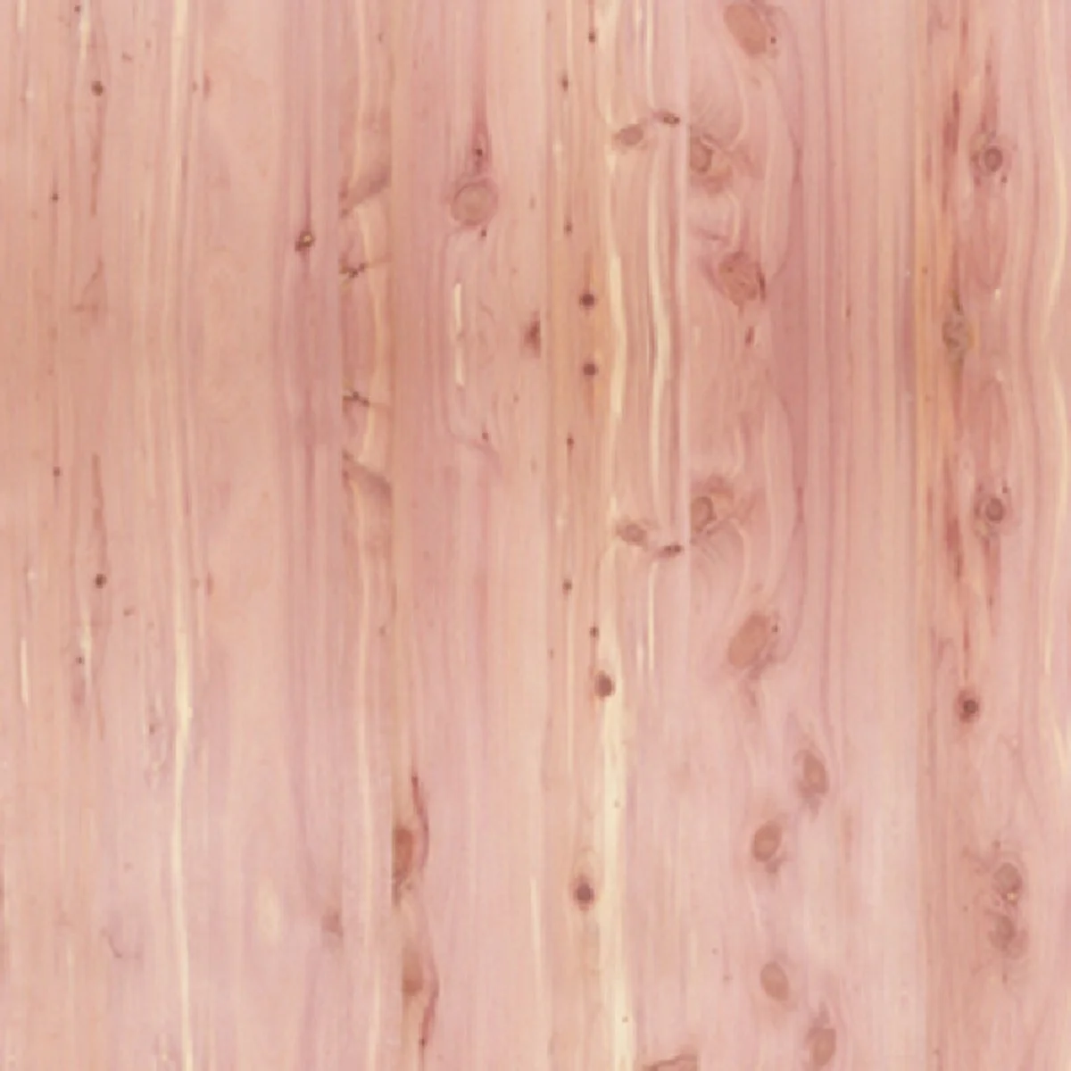 Green Global Product Sourcing 4 Ft. x 8 Ft. x 1 4 In. Red Cedar Panel Veneer Authentic