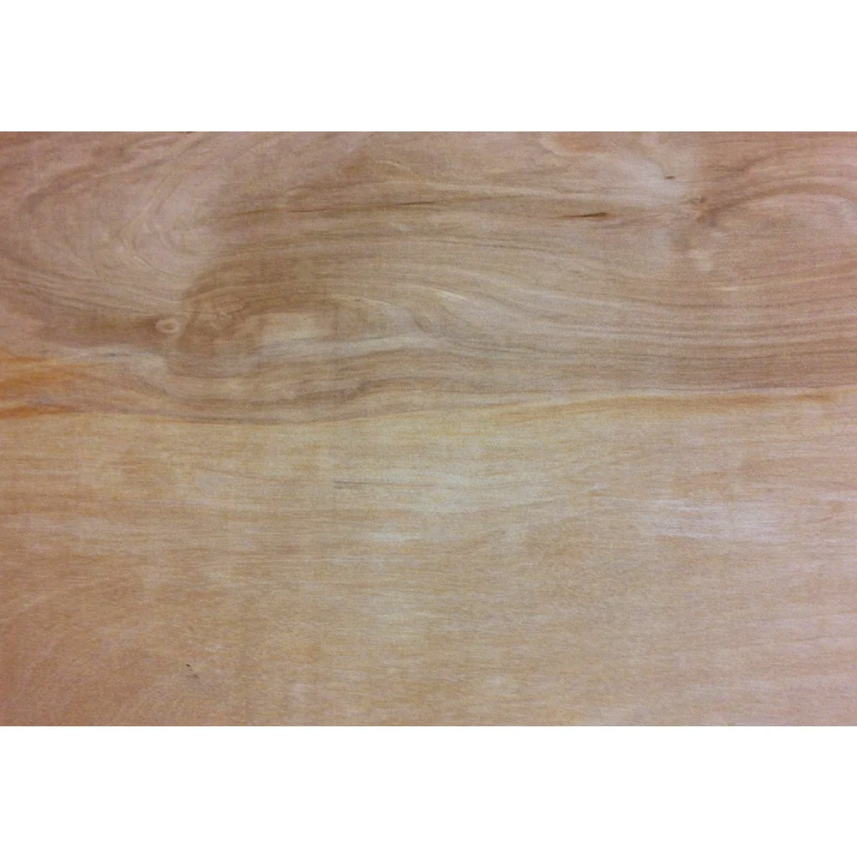 Functional Universal Forest Products 1 2 In. x 24 In. x 24 In. Birch Plywood Panel Unique