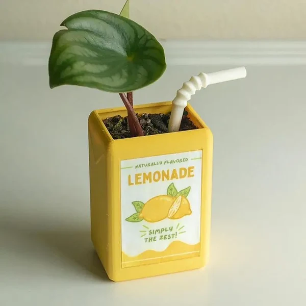 Verified Juice Box Flower Pot Outstanding