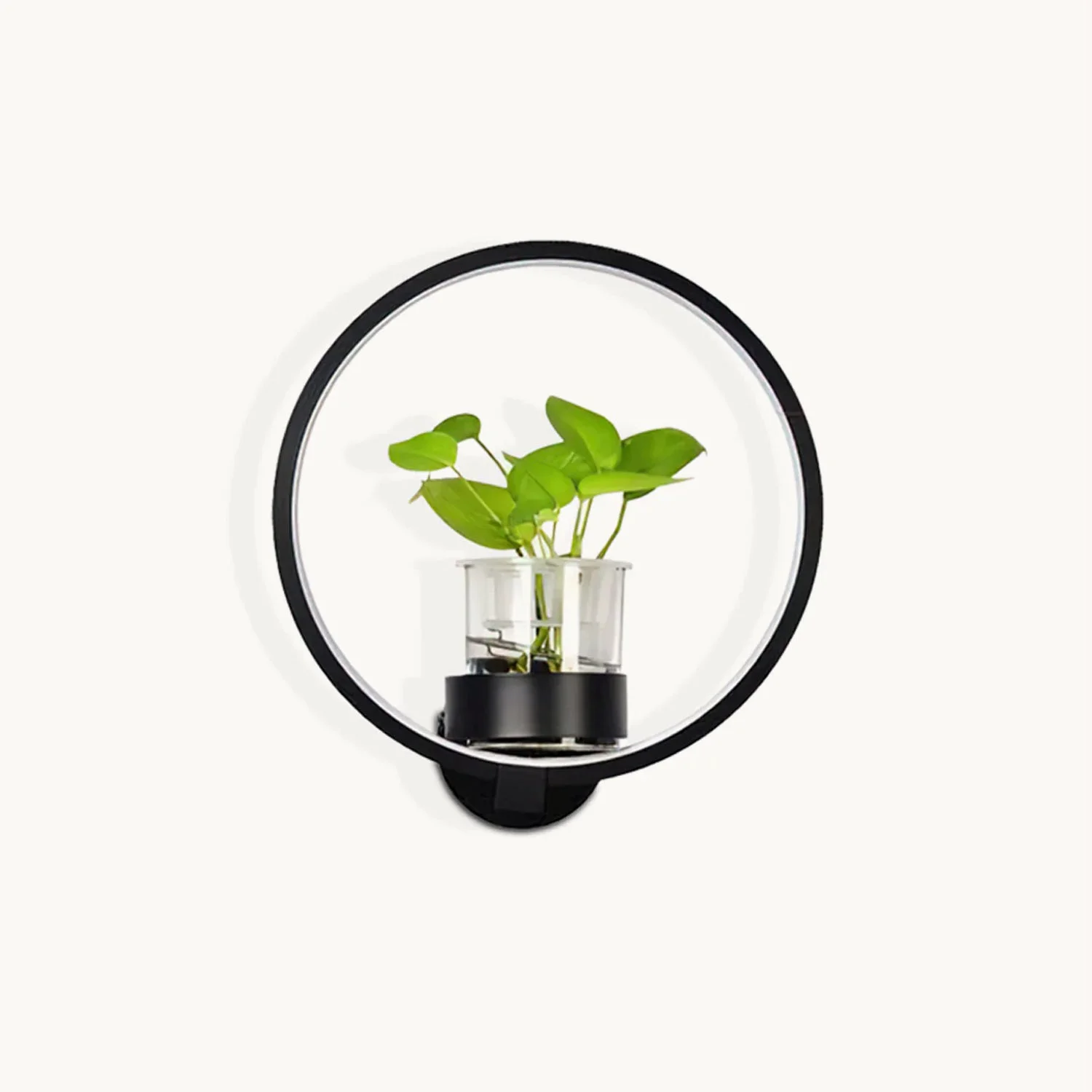 Comfortable Ecological Wall Light High-Quality