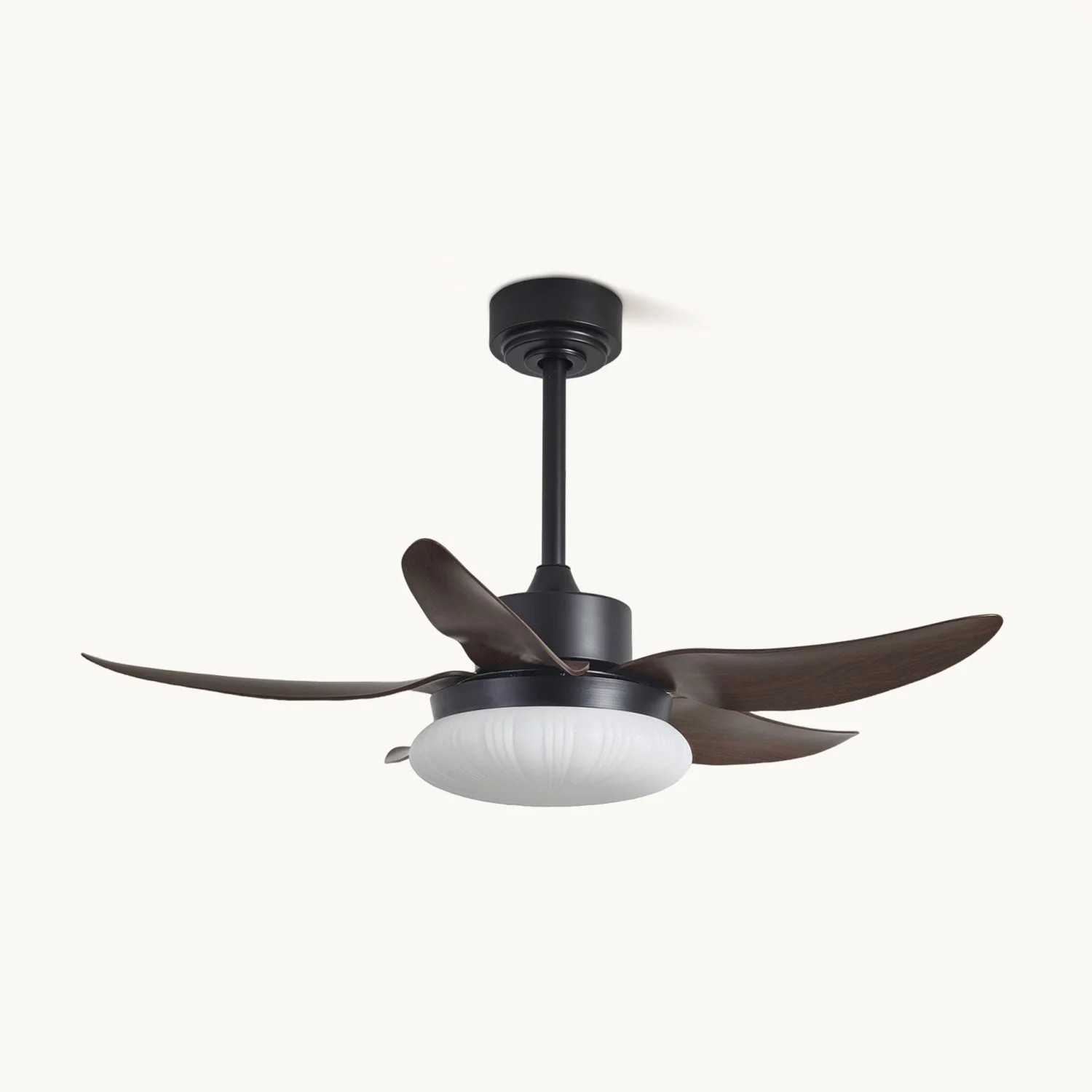 Carefully Designed Moasis Ceiling Fan Light Fashionable