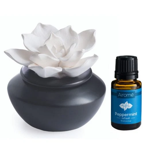 Comfortable Gardenia Porcelain Passive Diffuser Smooth