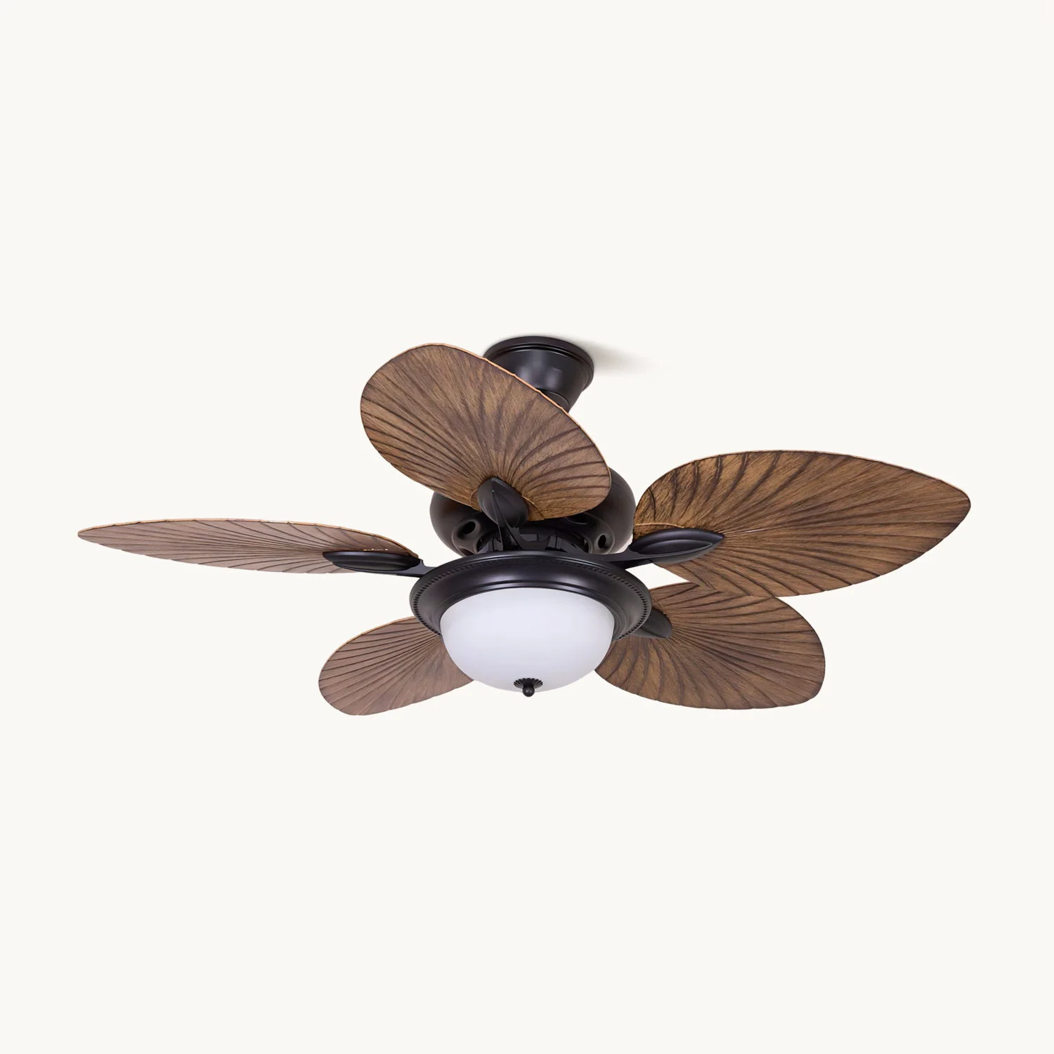 Clean Calora Ceiling Fan Light Modern
