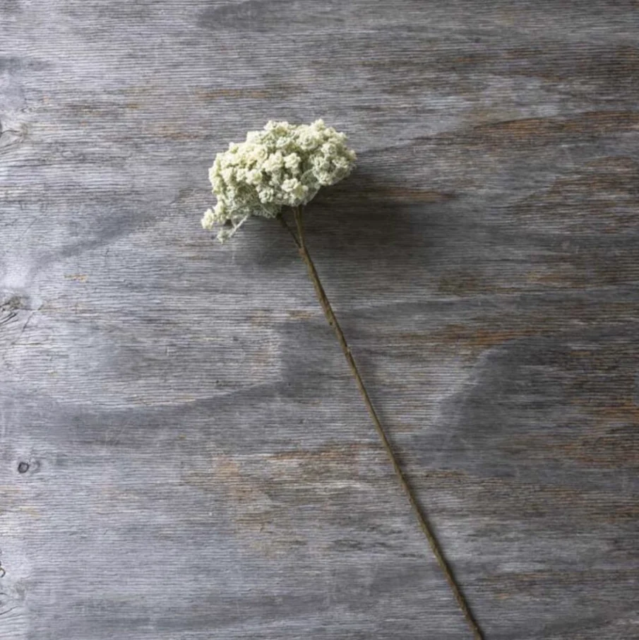 Trendy Yarrow Stem - Cream Faux Plant High-Grade