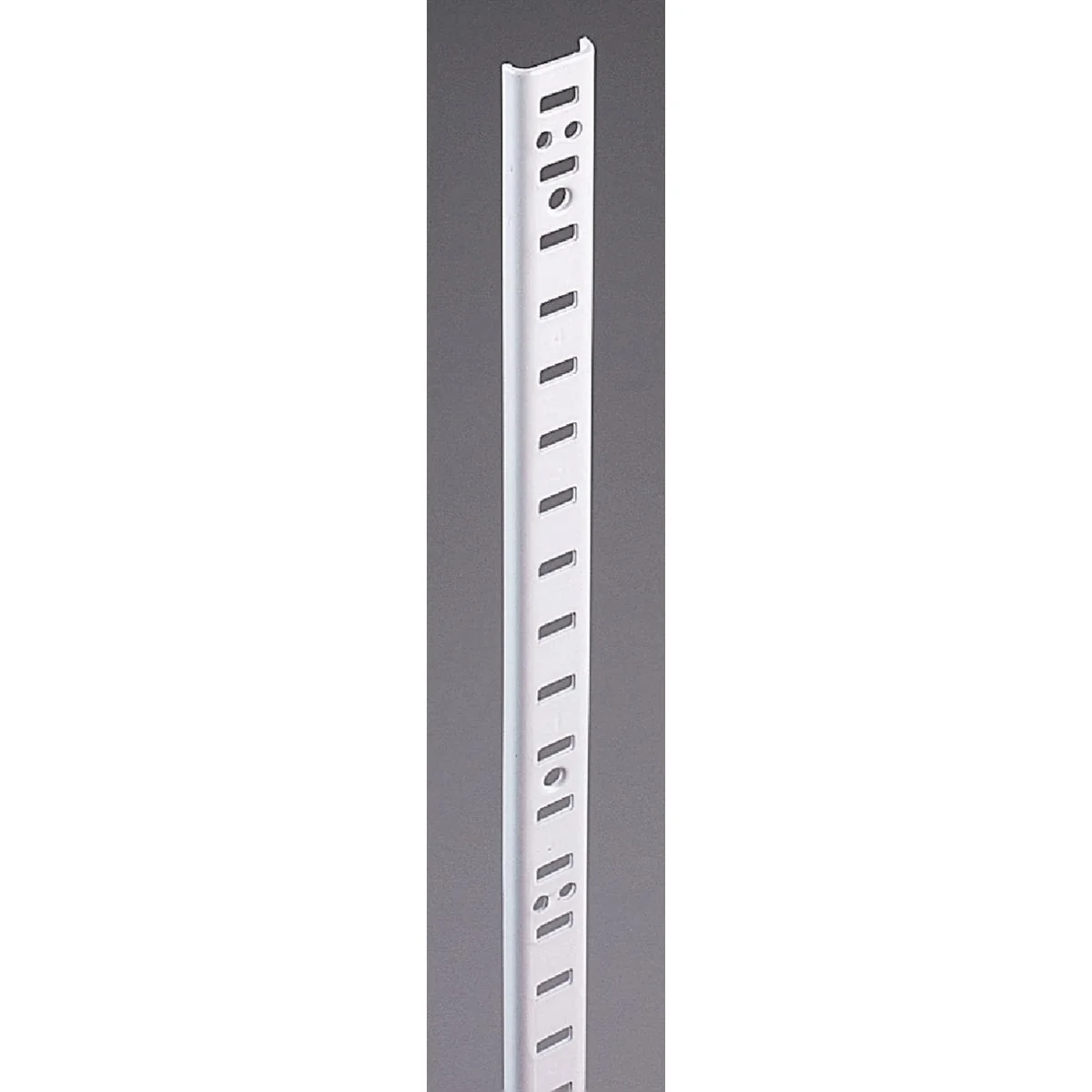 Clean Knape Vogt 255 Series 60 In. Zinc-Plated Steel Mortise-Mount Pilaster Shelf Standard Organic