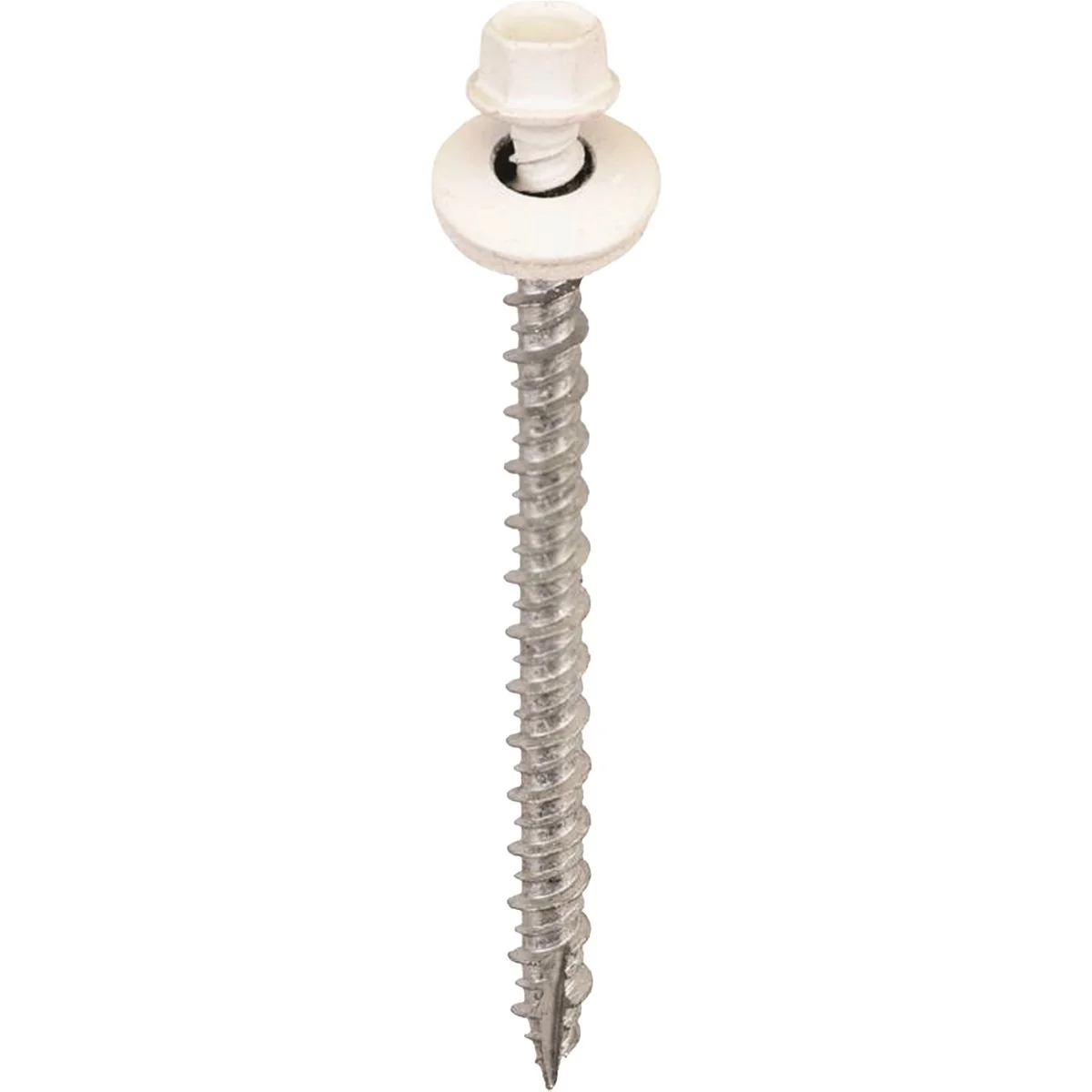 Elite Acorn International 2-1 2 In. Washered White Framing Screw 250 Ct. Trendy