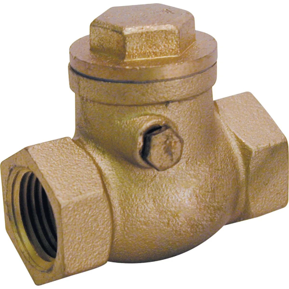 Secure ProLine 2 In. Brass Swing Check Valve Trusted