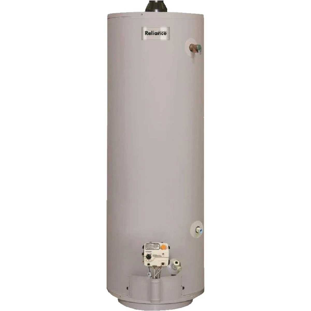 Verified Reliance 30 Gal. Tall 6yr 30 000 BTU Direct Vent Natural Gas Liquid Propane Water Heater for Mobile Home User-Friendly